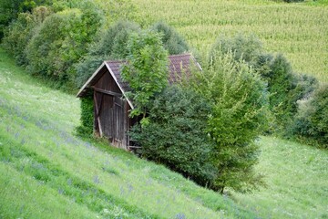 Fototapeta premium old farm house