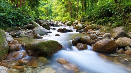 Serene river flowing through a lush green forest, with smooth stones and vibrant foliage surrounding it