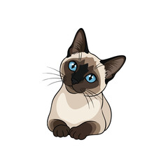 (Blue Eyed Siamese Kitten Portrait. Adorable feline with striking blue eyes and a curious expression. This elegant animal embodies loyalty and grace, perfect for pet-themed designs.)