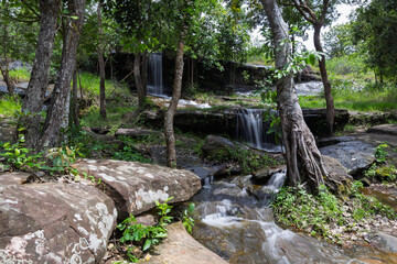 A peaceful view of Than Nam Sai waterfall, a small clear stream in Phu Pha Yon National Park, Thailand. Surrounded by green trees, perfect for nature, travel, and landscape concepts.