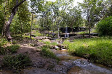 A peaceful view of Than Nam Sai waterfall, a small clear stream in Phu Pha Yon National Park, Thailand. Surrounded by green trees, perfect for nature, travel, and landscape concepts.