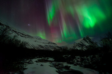 Aurora Boreal, Senja, Noruega