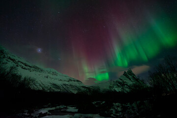 Aurora Boreal, Senja, Noruega