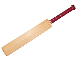 Professional cricket bat with classic wooden design and maroon grip ready for game