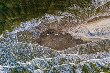 Pelicans on Little Deveaux Bank From Above