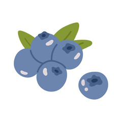Vector illustration of blueberries with green leaves. A simple flat design of fresh forest berries for packaging, recipes, or educational materials.