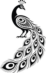 Fototapeta premium Elegant black peacock silhouette with ornate fanned tail feathers standing proudly against a white background silhouette
