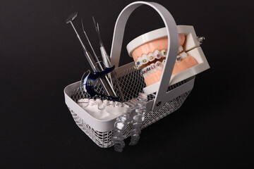 Dentist with Orthodontic tooth model and bracket or brace. Clean and Scrape off tartar. May Orthodontic Health Day, March Oral health, Dentist Day, False Teeth. Toothache and Children Dental Health