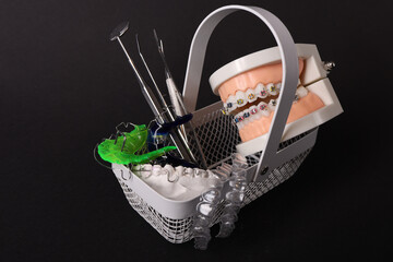Dentist with Orthodontic tooth model and bracket or brace. Clean and Scrape off tartar. May Orthodontic Health Day, March Oral health, Dentist Day, False Teeth. Toothache and Children Dental Health