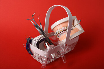 Dentist with Orthodontic tooth model and bracket or brace. Clean and Scrape off tartar. May Orthodontic Health Day, March Oral health, Dentist Day, False Teeth. Toothache and Children Dental Health