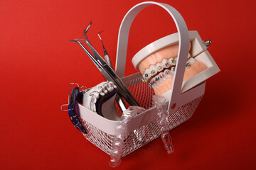 Dentist with Orthodontic tooth model and bracket or brace. Clean and Scrape off tartar. May Orthodontic Health Day, March Oral health, Dentist Day, False Teeth. Toothache and Children Dental Health