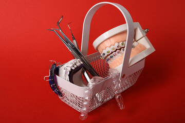 Dentist with Orthodontic tooth model and bracket or brace. Clean and Scrape off tartar. May Orthodontic Health Day, March Oral health, Dentist Day, False Teeth. Toothache and Children Dental Health