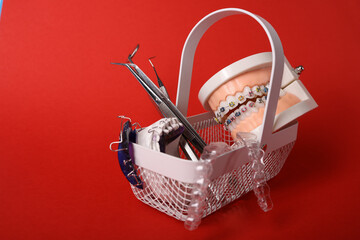 Dentist with Orthodontic tooth model and bracket or brace. Clean and Scrape off tartar. May Orthodontic Health Day, March Oral health, Dentist Day, False Teeth. Toothache and Children Dental Health