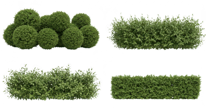 Photo of a set of four green hedges and bushes isolated on transparent background, perfect for architectural visualization