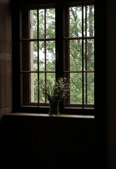 window with flowers