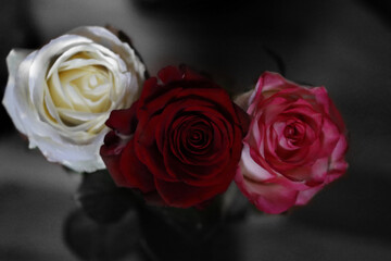 3 Rosen