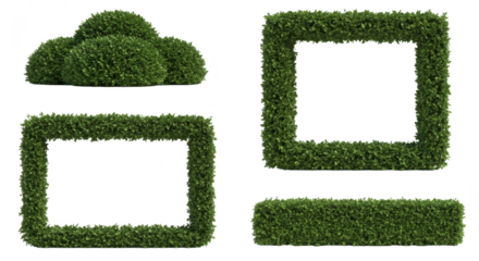 Photo of a set of four lush green hedge elements isolated on transparent background, ideal for creating natural borders and decorative elements