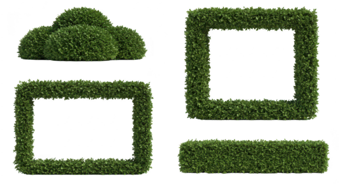 Photo of a set of four lush green hedge elements isolated on transparent background, ideal for creating natural borders and decorative elements
