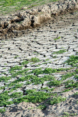 dry cracked ground, Cracks and fissures in the ground caused by drought. Lake Cuga. Uri, Sassari,...