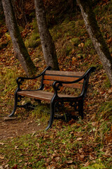 bench in autumn park