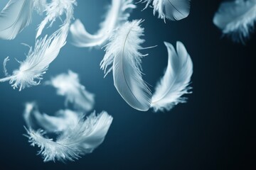 White Feathers Floating Against Dark Teal Background, Soft and Airy Texture