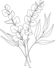 Obraz premium Set of eucalyptus leaves on long stems, delicately arranged, with hand-drawn style