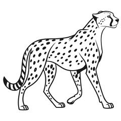 Fototapeta premium cheetah vinyl ready vector illustration