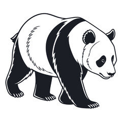 vector illustration of a panda
