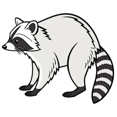 vector illustration of a raccoon on a white background.
