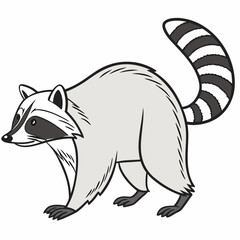 Vector illustration of a raccoon on a white background.