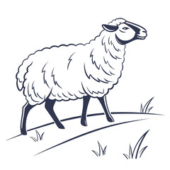 Vector illustration of a sheep on a white background.