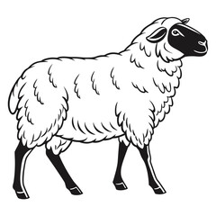 Sheep vector illustration with white background.