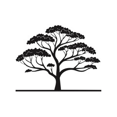 Fototapeta premium Silhouette of a Savanna Tree with a Flat Horizon Line