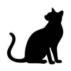 black cat on white background