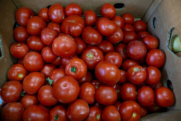 Many ripe red tomatoes. Cherry tomatoes. Pink tomatoes. Tomatoes in a box. Sale of tomatoes at the...