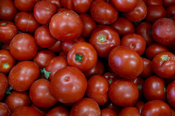 Many ripe red tomatoes. Cherry tomatoes. Pink tomatoes. Tomatoes in a box. Sale of tomatoes at the...