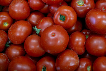 Many ripe red tomatoes. Cherry tomatoes. Pink tomatoes. Tomatoes in a box. Sale of tomatoes at the...