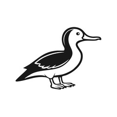 Obraz premium Stylized black and white graphic illustration of a duck standing on its webbed feet
