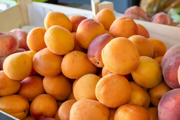 Lots of ripe apricots. Apricots in a box. Sale of apricots at the market and store. Background. Top view. Conservation for the winter. Vegetarianism.