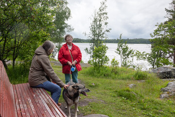 Friendship smiling woman bonding with dog on peaceful natural hike landscape