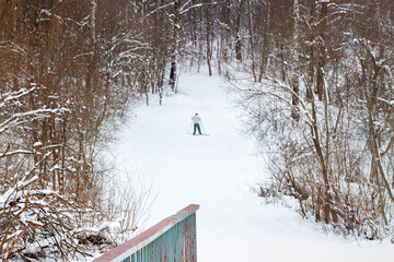 Cross-country solo skier in winter forest landscape