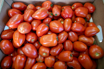 Many ripe red tomatoes. Cherry tomatoes. Pink tomatoes. Tomatoes in a box. Sale of tomatoes at the...