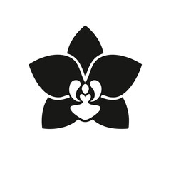 Stylized orchid blossom icon: black and white monochrome, simple floral illustration for design elements