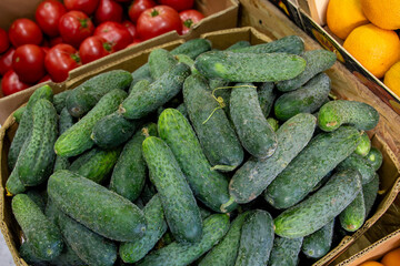 Many ripe cucumbers. Cucumbers in a box. Sale of cucumbers at the market and store. Background. Top view. Concentration sale at the market and store. Farm products. Vegetarianism.