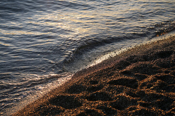 waves on the beach