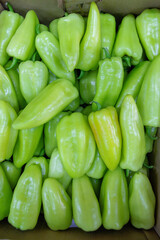 Many ripe green sweet peppers. Sweet peppers in a box. Sale of peppers at the market and store. Background. Top view. Concentration of preservation for the winter. Farm products. Vegetarianism.