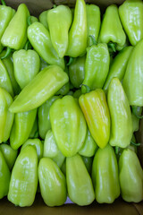 Many ripe green sweet peppers. Sweet peppers in a box. Sale of peppers at the market and store. Background. Top view. Concentration of preservation for the winter. Farm products. Vegetarianism.