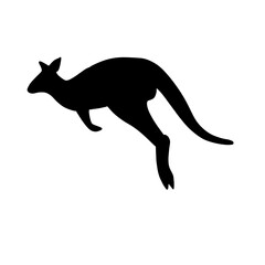 Kangaroo silhouette