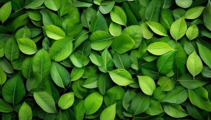 seamless green leaves on the ground