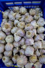 Lots of blackberries. Garlic in a box. Sale of garlic at the market and store. Background. Top view. Conservation for the winter. Farm products. Vegetarianism.